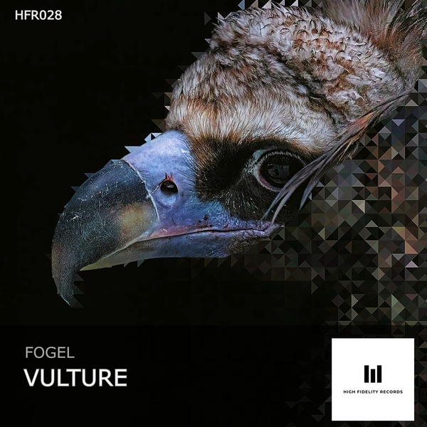 high fidelity records progressive house melodic techno record label: release HFR028